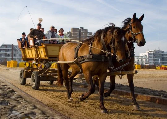 Wattwagenfahrt von Cuxhaven Duhnen nach Neuwerk